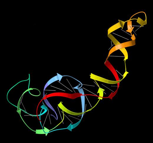 5S_ribosomal_RNA_ribbons (1)