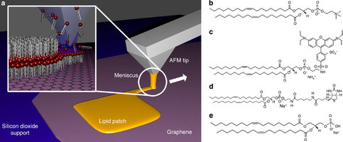 Nanolithography on graphene