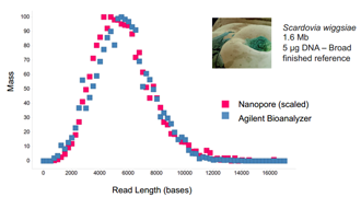 Agilent vs Nanopore