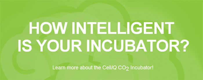 Cell Incubators CO2