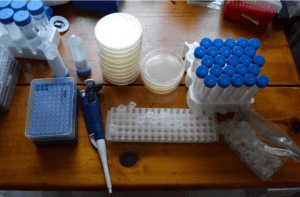 CRISPR Kit