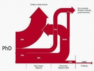 academic career pathways
