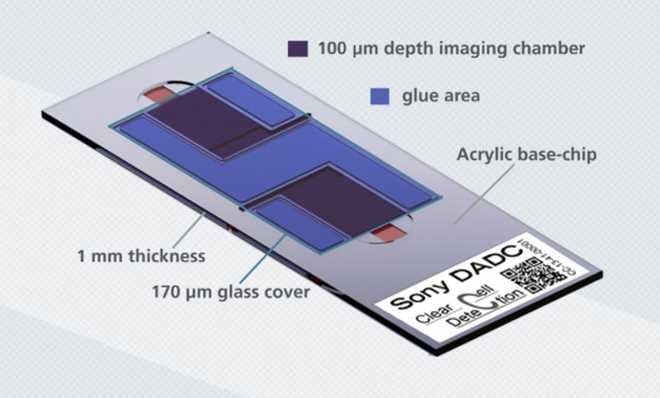 glass-plastic imaging slide