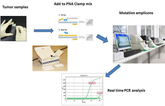 QClamp somatic mutation real time PCR  test