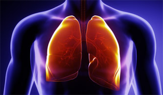 autologous lung grafts