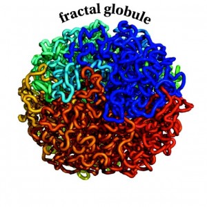 fractalglobule