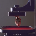 3D printers, Human Printed Heart