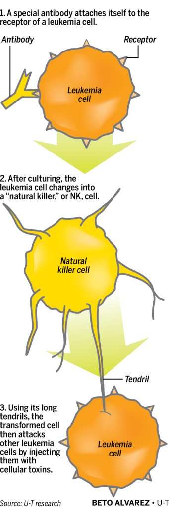 Natural_killer_cells-02_1