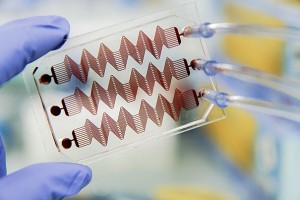 microfluidics blood clot