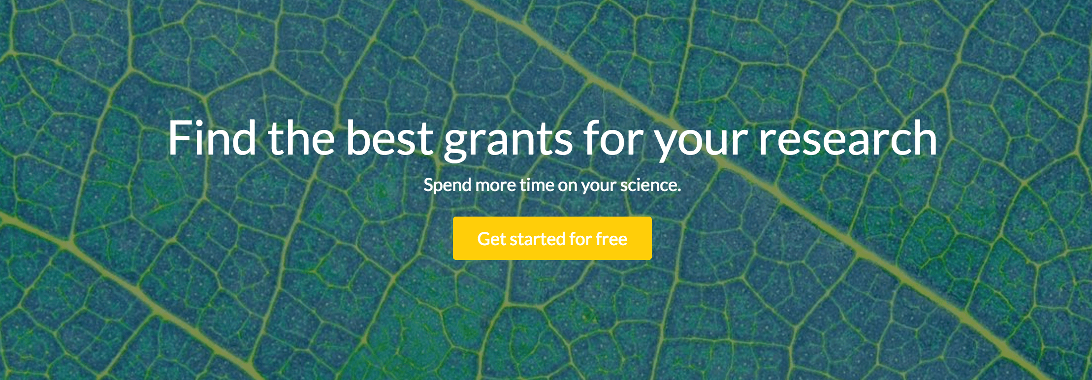 Research Grant Applications